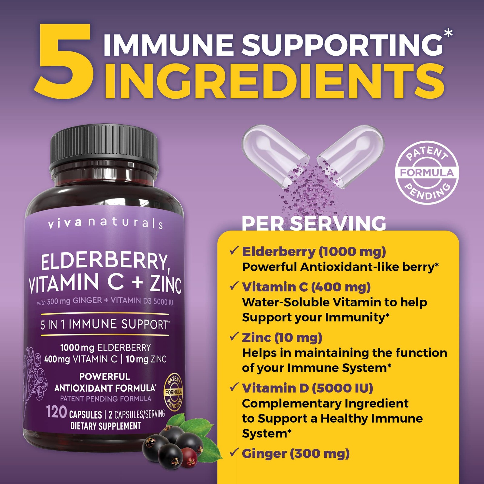 Viva Naturals Elderberry with 120 Count (Pack of 1), 5in1 120ct