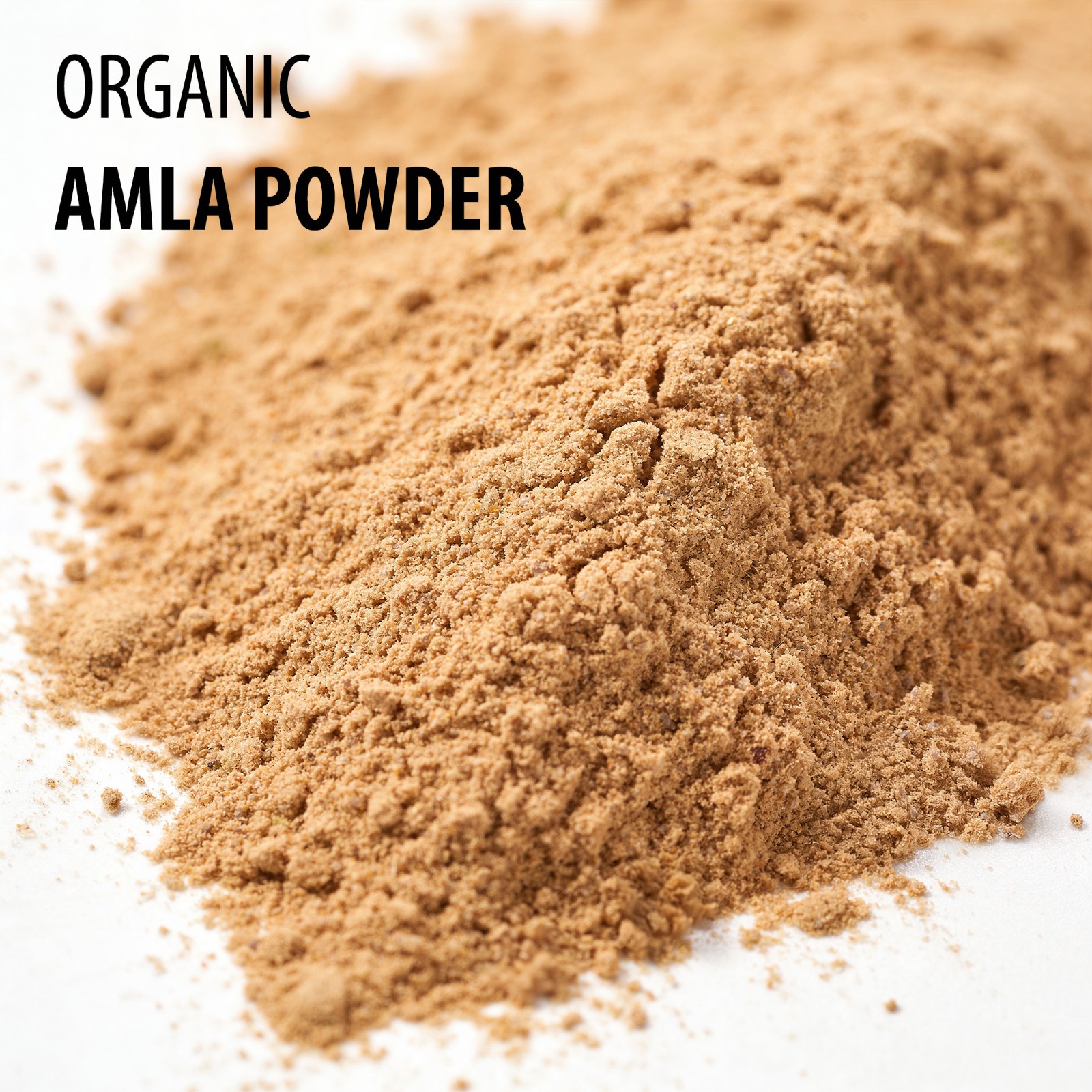 Organic Amla Powder 20KG Bulk Commercial Supply | Phyllanthus Emblica Wholesale