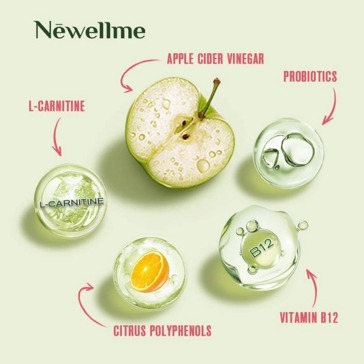 NEWELLME Apple Cider Vinegar Gummy Energy and Gut Wellness – Supports Digestion