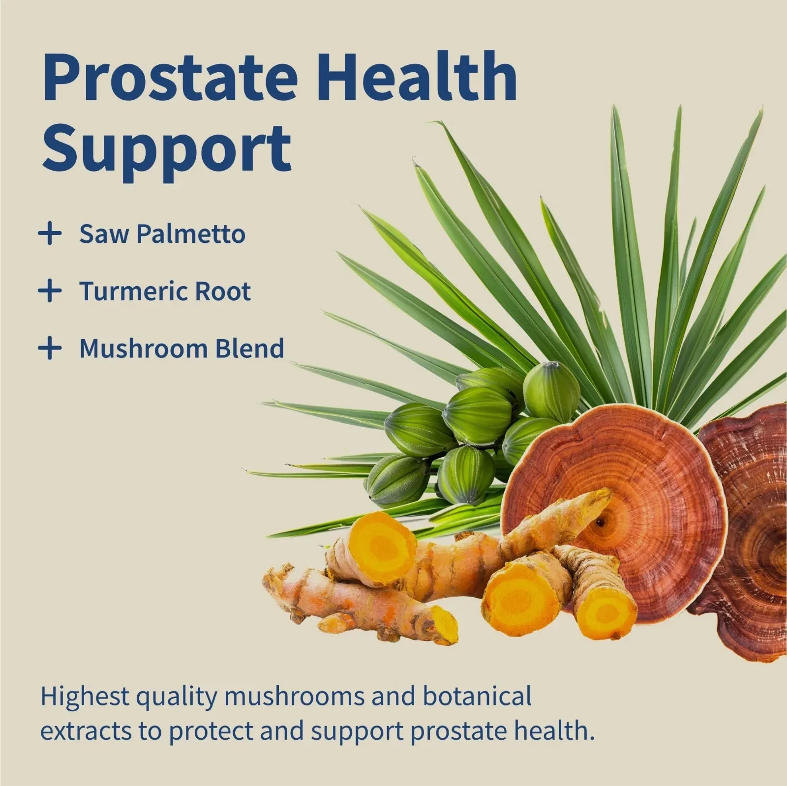 SNAP Multi Herbal Supplement for Men Saw Palmetto Turmeric Maintains Healthy New