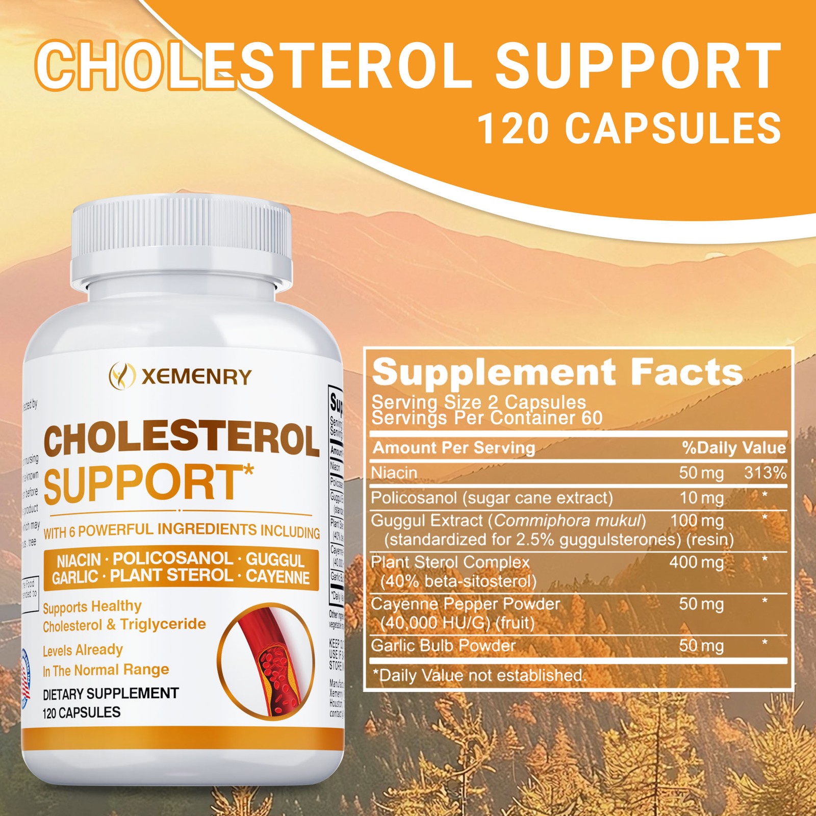 Cholesterol Support – Balance Cholesterol Supplement High Cholesterol Lowering