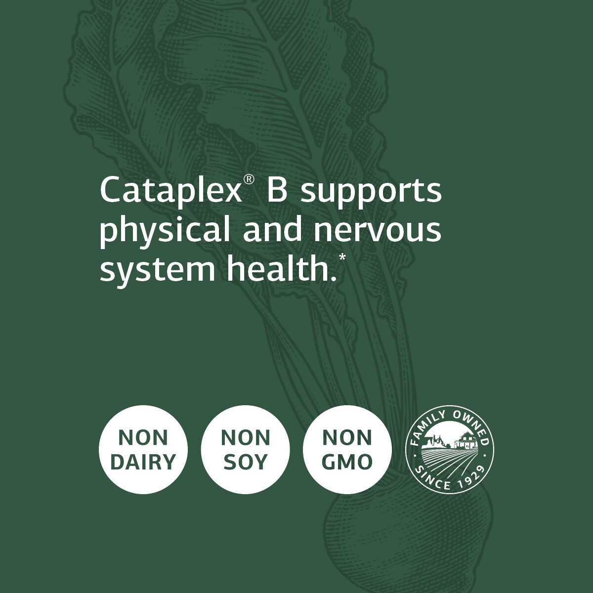 Standard Process Cataplex B Whole Food Formula, 180 Tablets