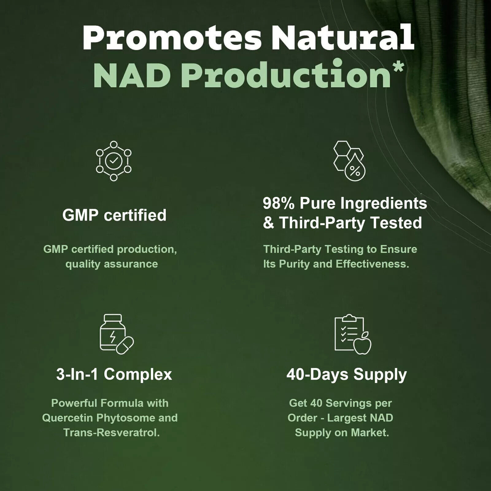 900mg Liposomal Nicotinamide Riboside – NAD+ Boosting Supplement