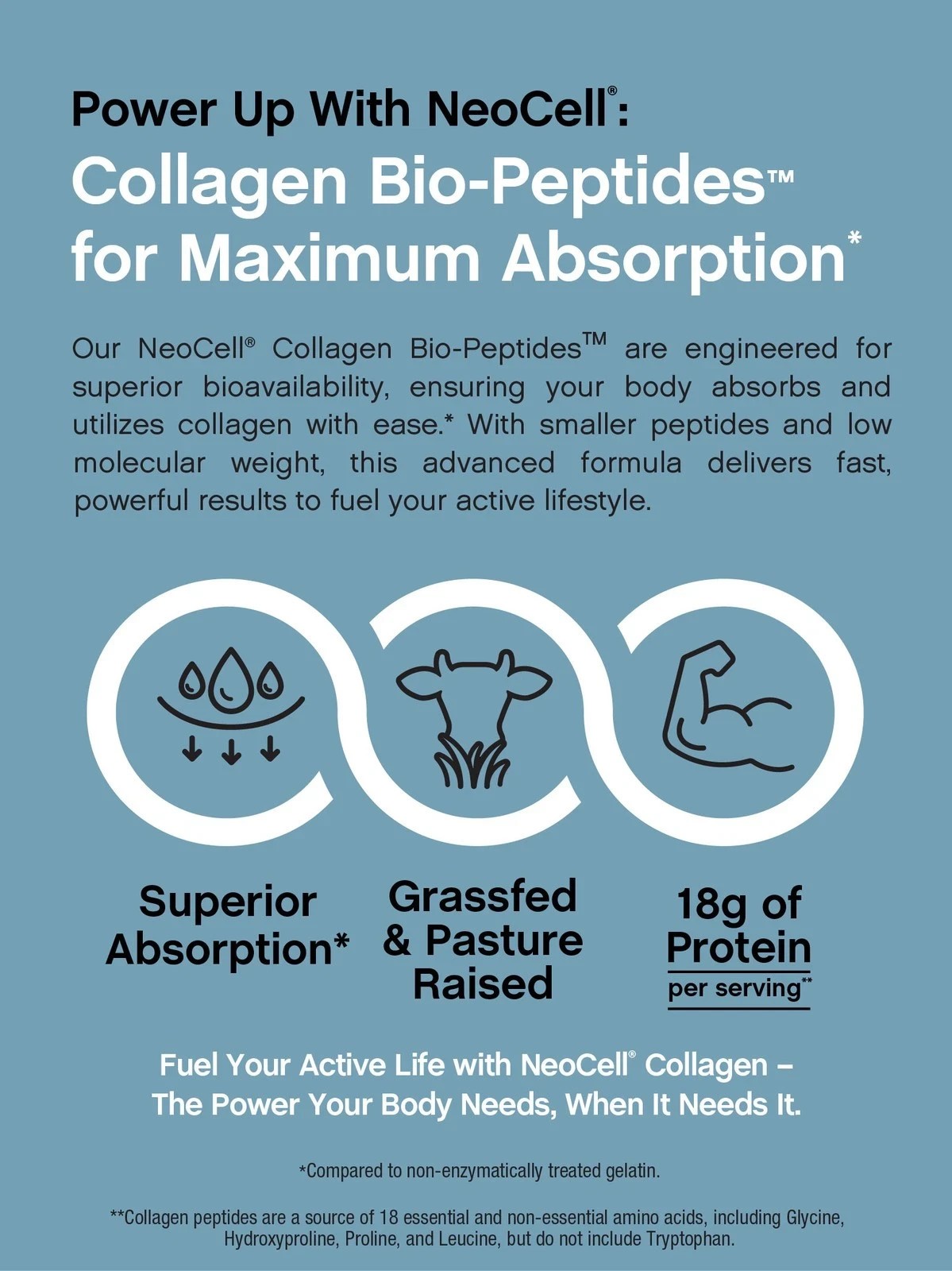 2 BOTTLES–NEW NeoCell Collagen Bio-Peptides Protein Supplement Grass Fed,-20Oz
