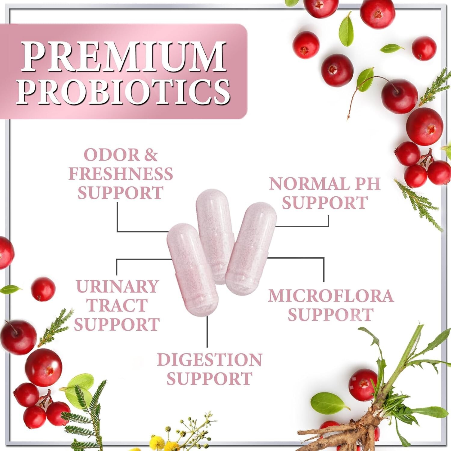 Probiotics for Women w/ Prebiotics – Digestive, Vaginal, Urinary & Immune Health