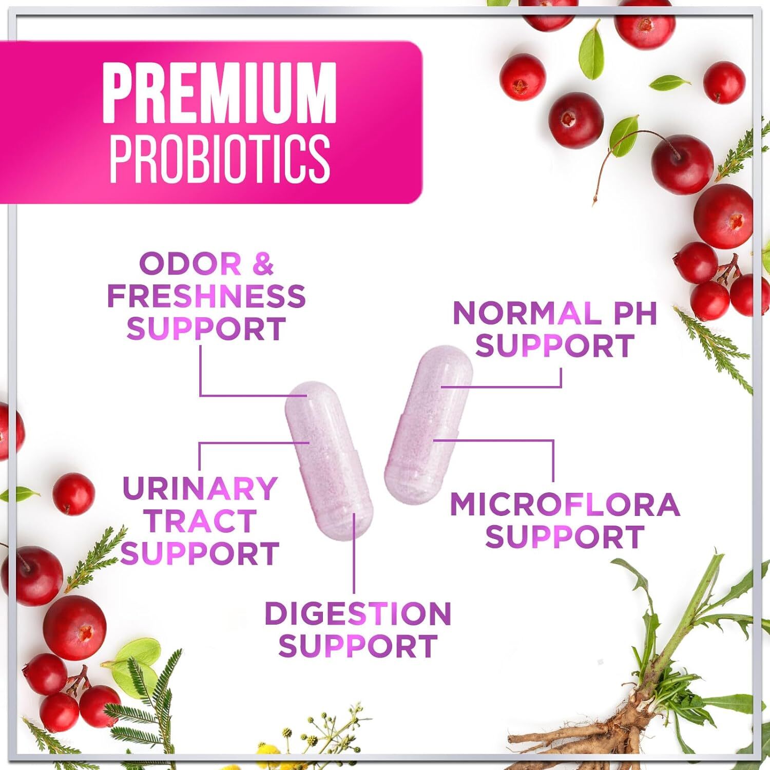 Probiotics For Women 60 Billion CFU – Women’s Digestive & Vaginal Health