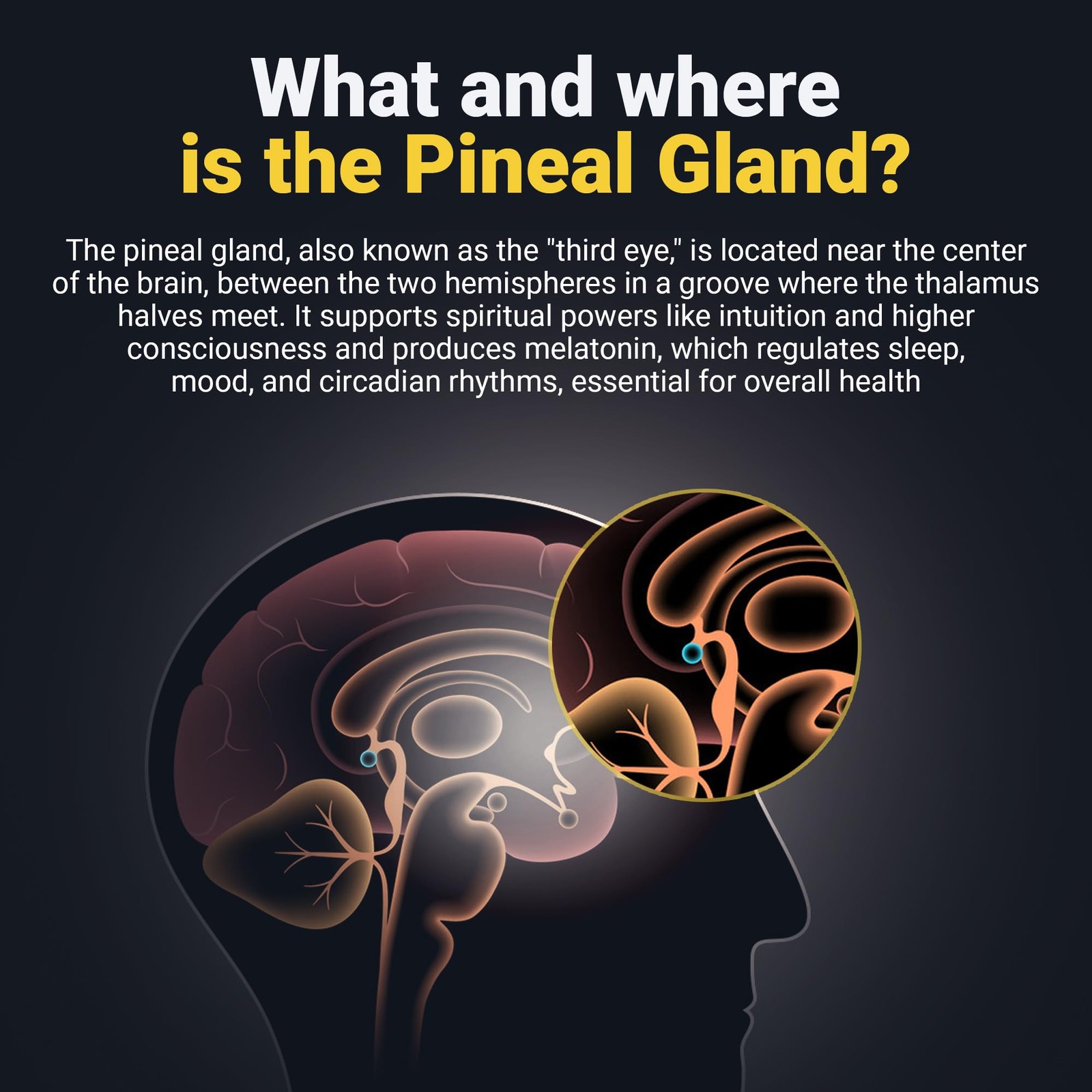 Pineal Gland Activation Supplement – Supports Decalcification, Third Eye Awake