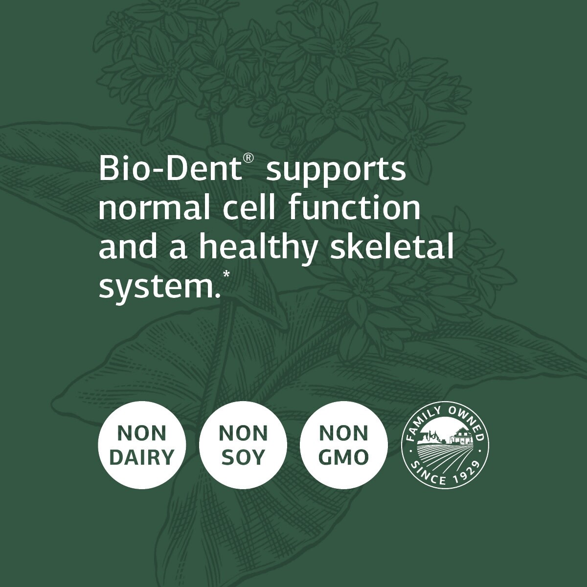 Standard Process Bio-Dent Whole Food Supplement, 180 Tablets