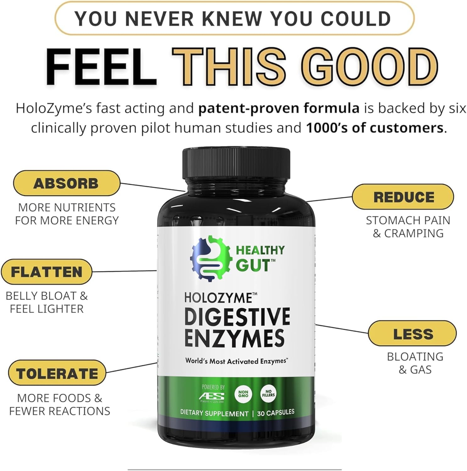 Digestive Enzymes-Healthy Gut HoloZyme Max Strength, 15 Servings-30 Count
