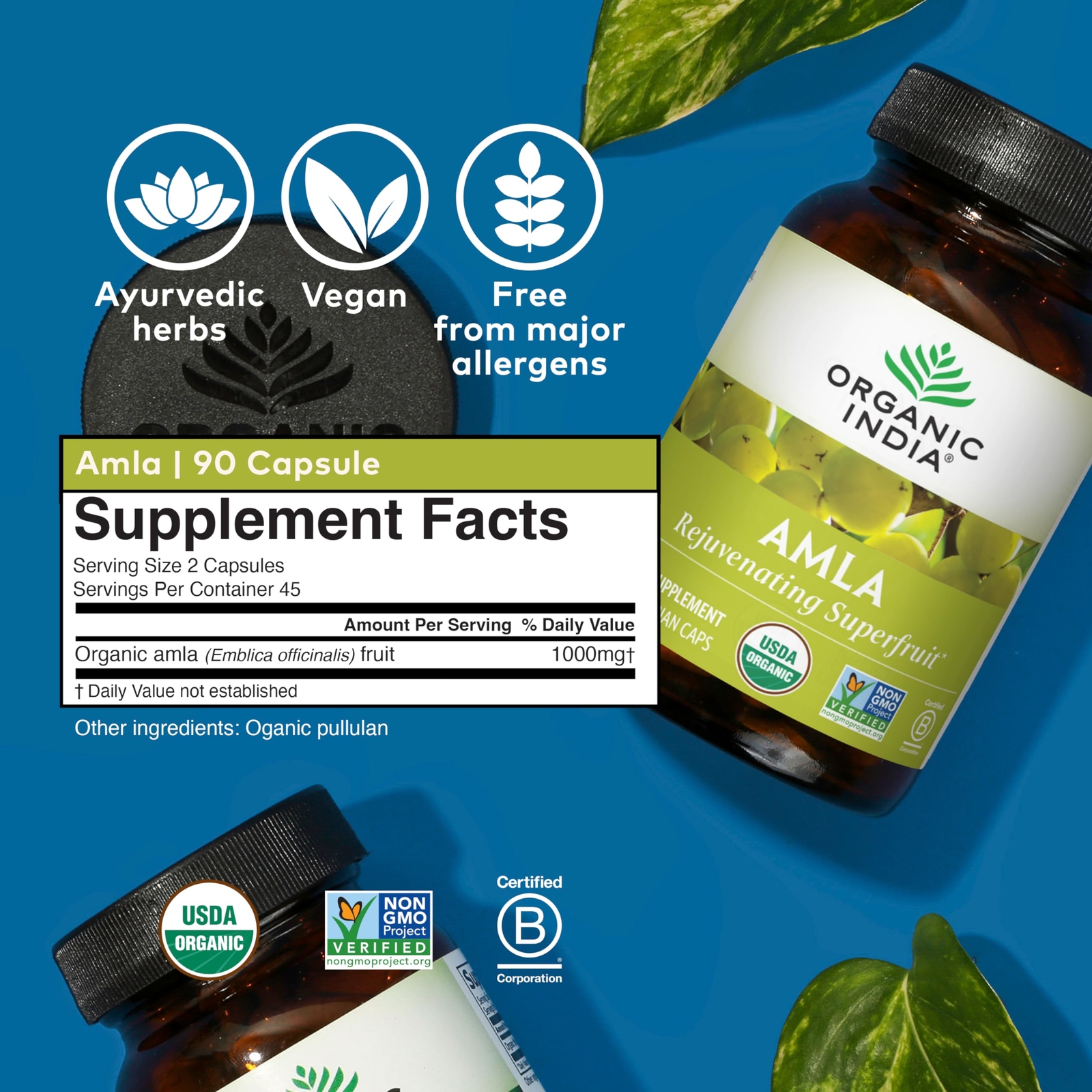 Organic India Amla Supplement 90 Count Stress Immune Detox Heart Health