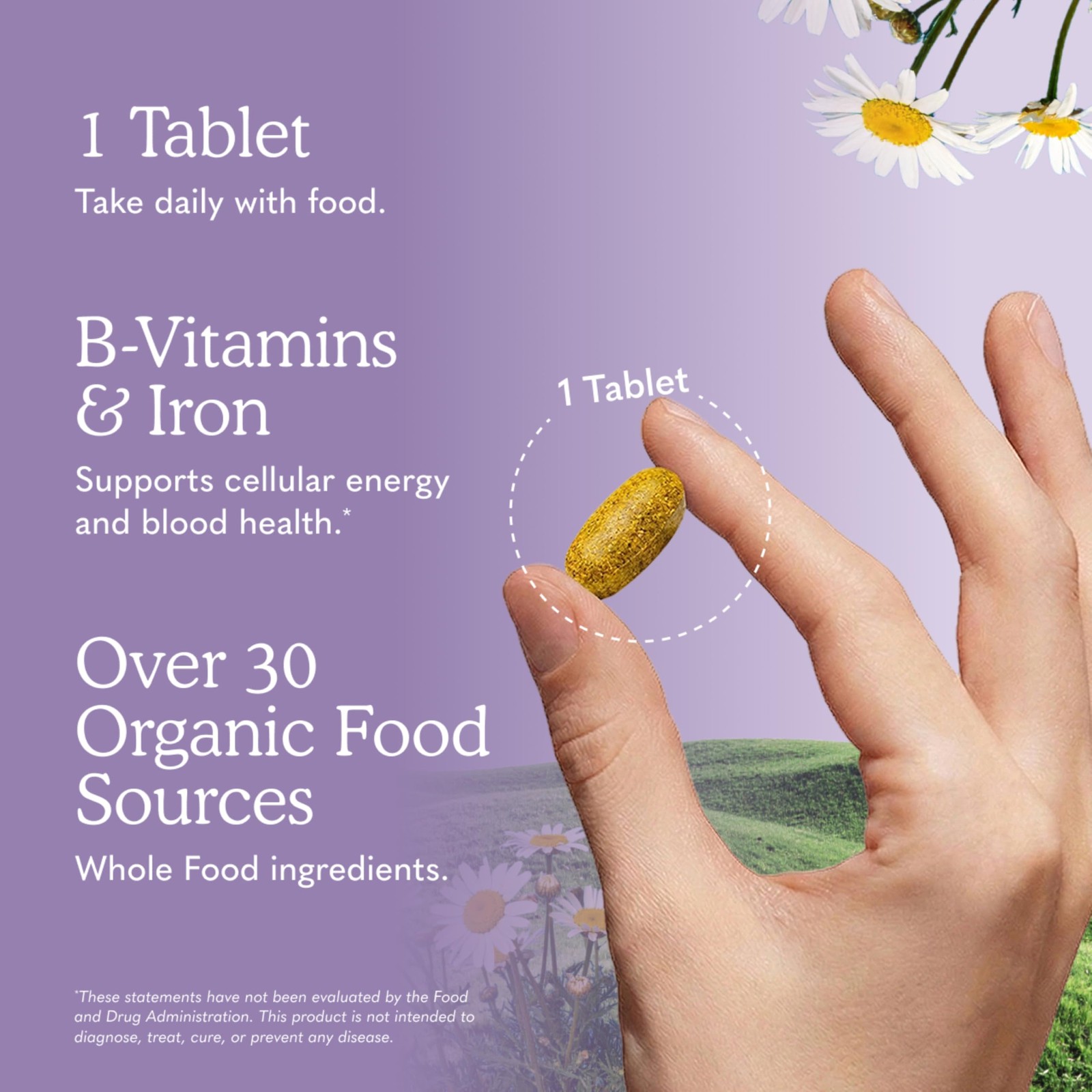 Garden of Life Organics Multivitamin for Women – 60 Count (Pack 1), N/a