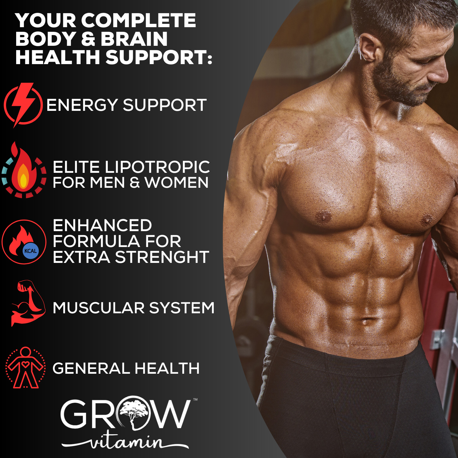 CLA Belly Fat Burner Weight Loss Pills Supplements Stomach Fat for Men & Women