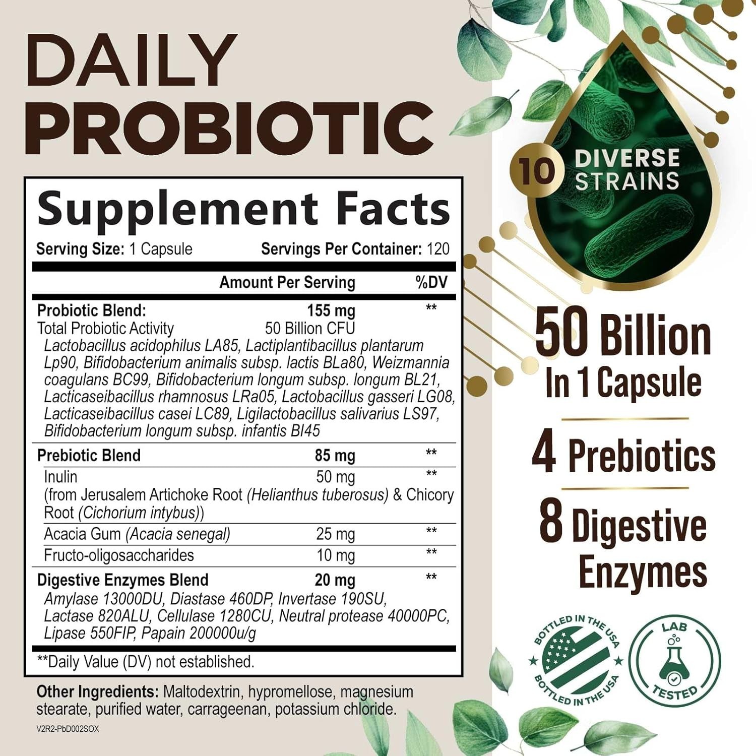 Probiotics & Prebiotics 60 Billion CFU – 10 Strains for Digestion & Immunity