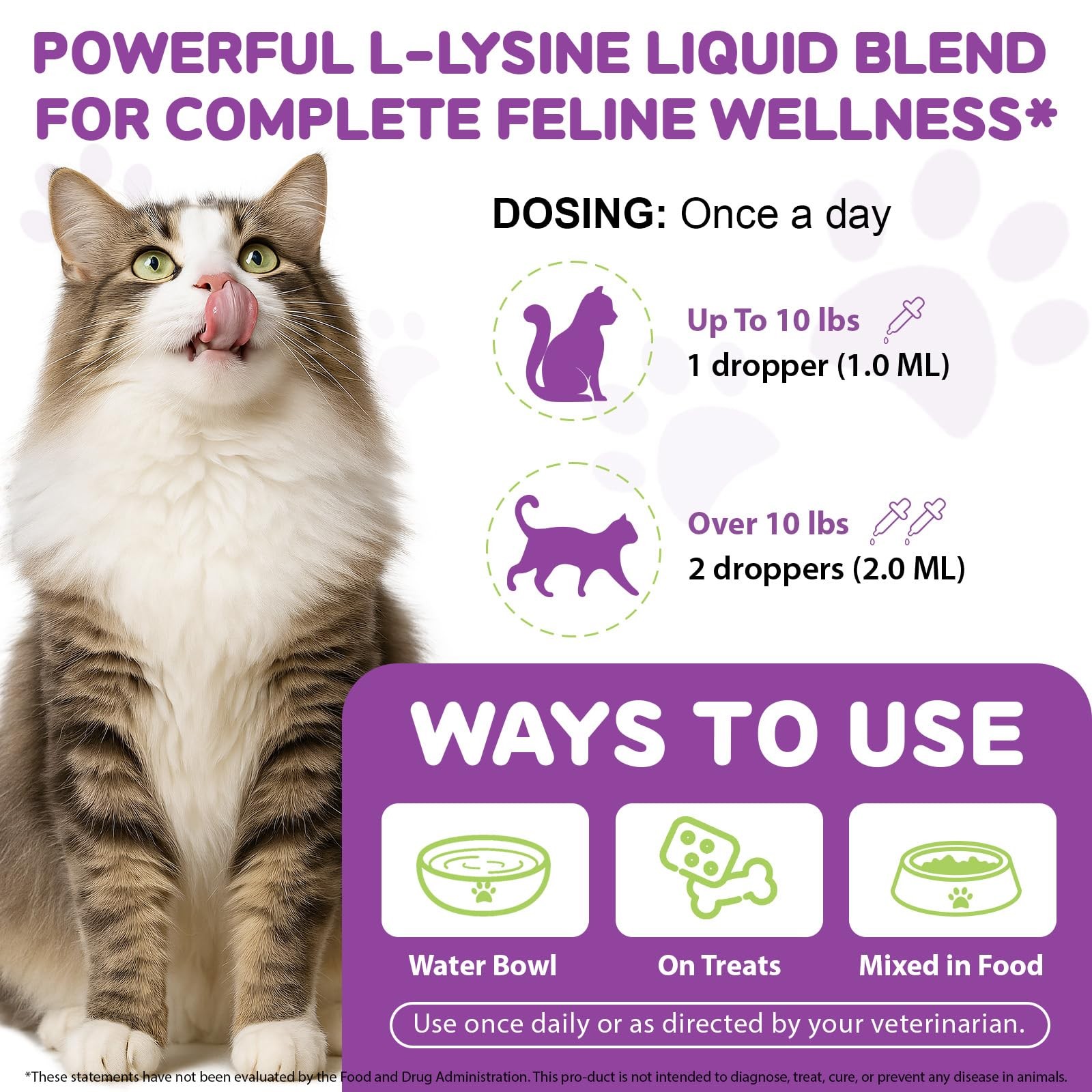 Cat L-Lysine Liquid 2oz Immune Respiratory Skin Coat Eyes | Lisina Gatos