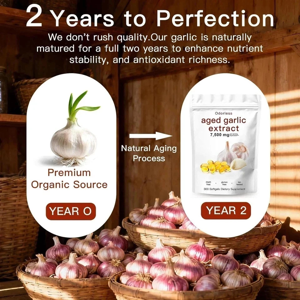 Aged Garlic Extract Odorless Garlic Capsules Heart Immune Support 300 Count