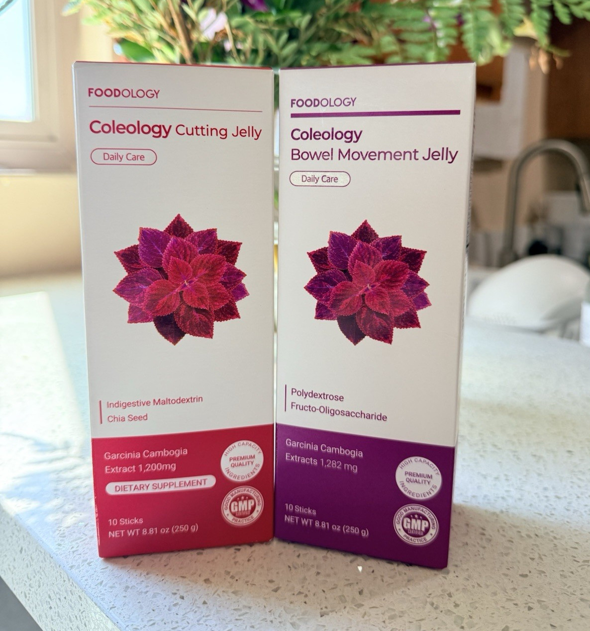 FOODOLOGY Coleology Cutting & Bowel Movement Jelly Bundle