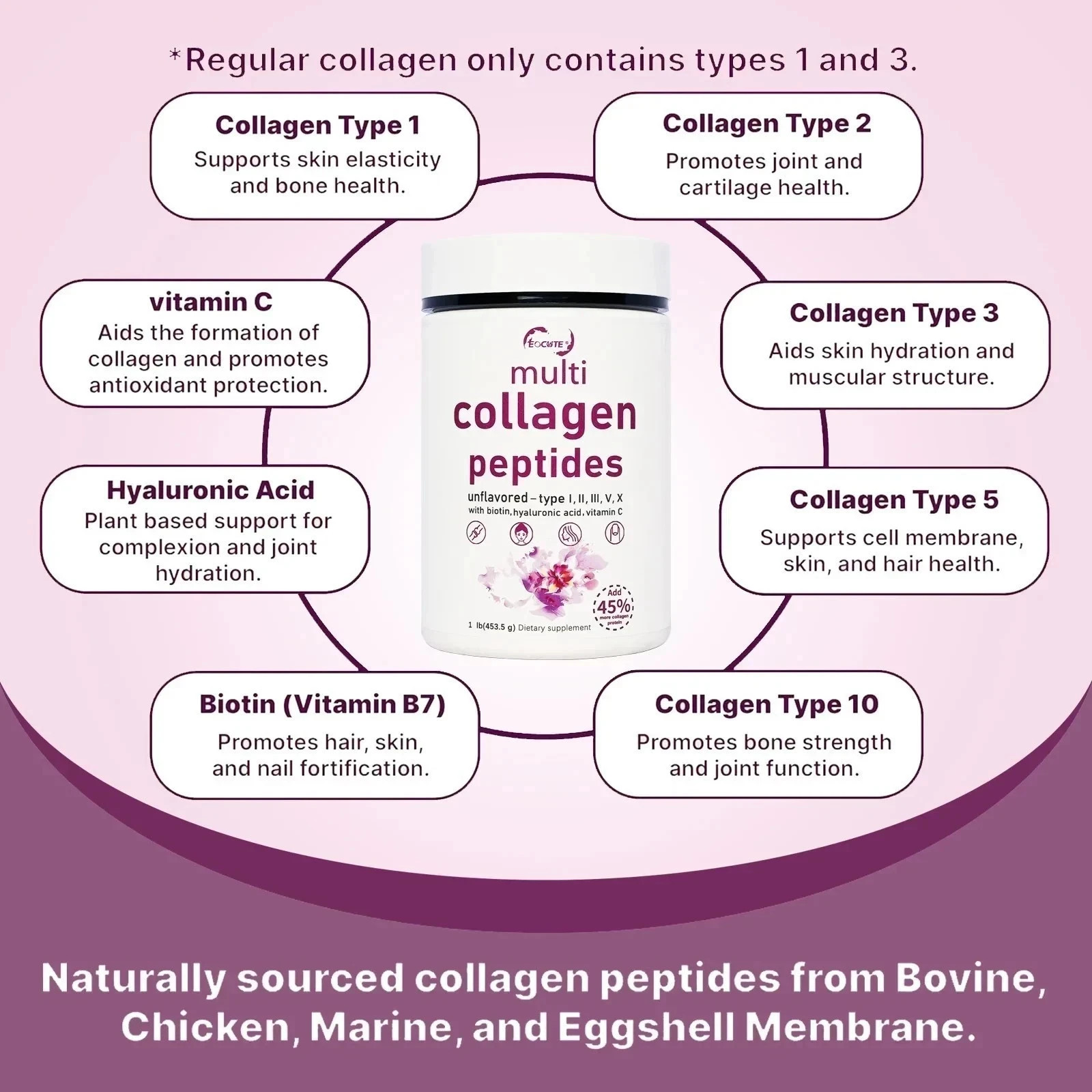 1LB Multi Collagen Peptides Powder–Hydrolyzed Protein with Type I, II, III, V, X