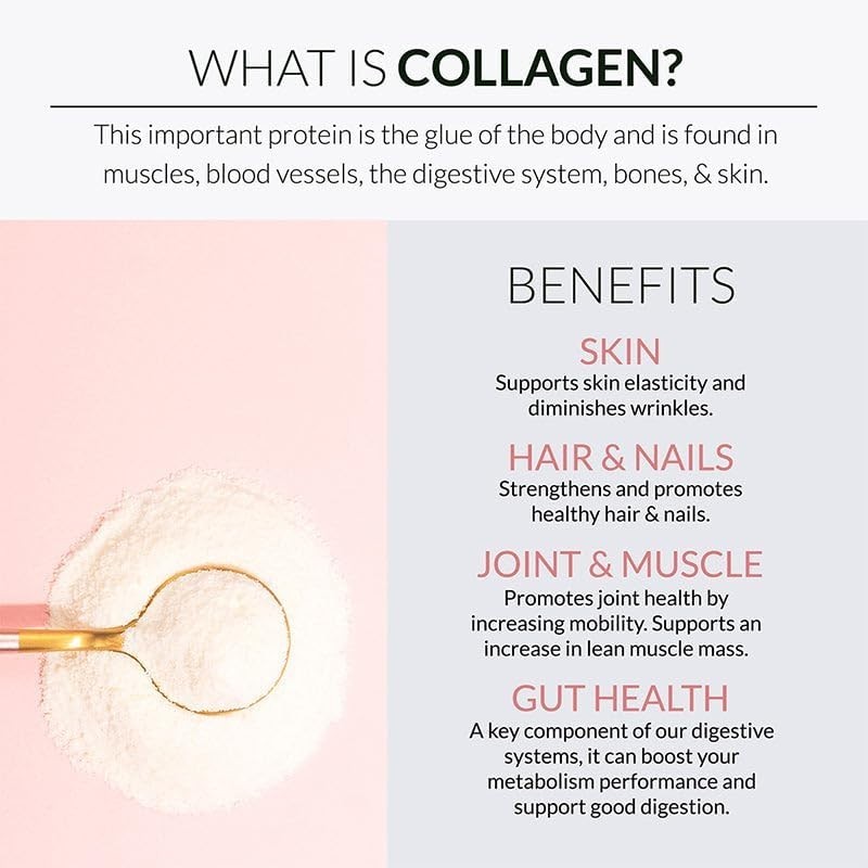 Alaya Multi Collagen Powder – Type I, II, III, V, X Hydrolyzed Collagen Peptide