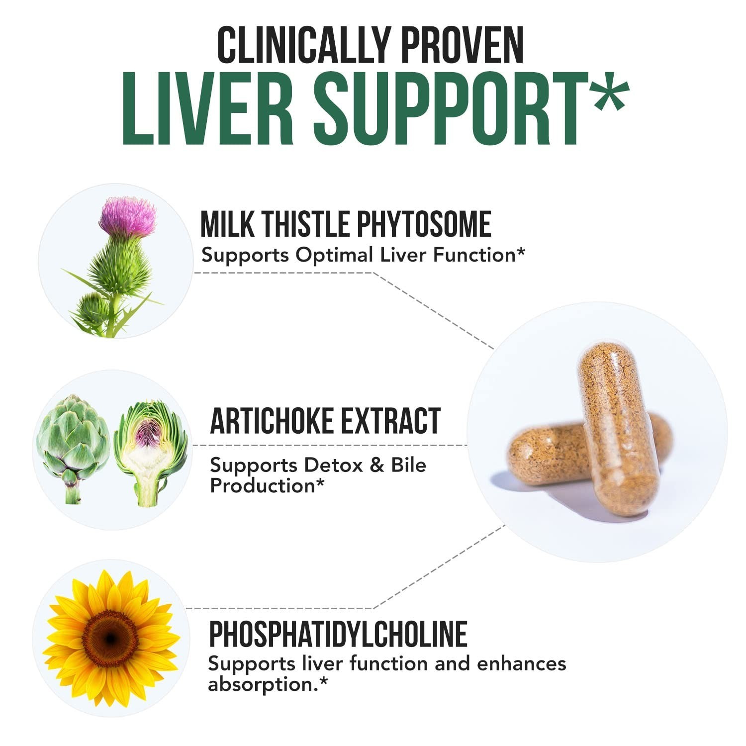 Milk Thistle Phytosome 10X, Silybin A & B, Artichoke Extract – Liver Support, 60