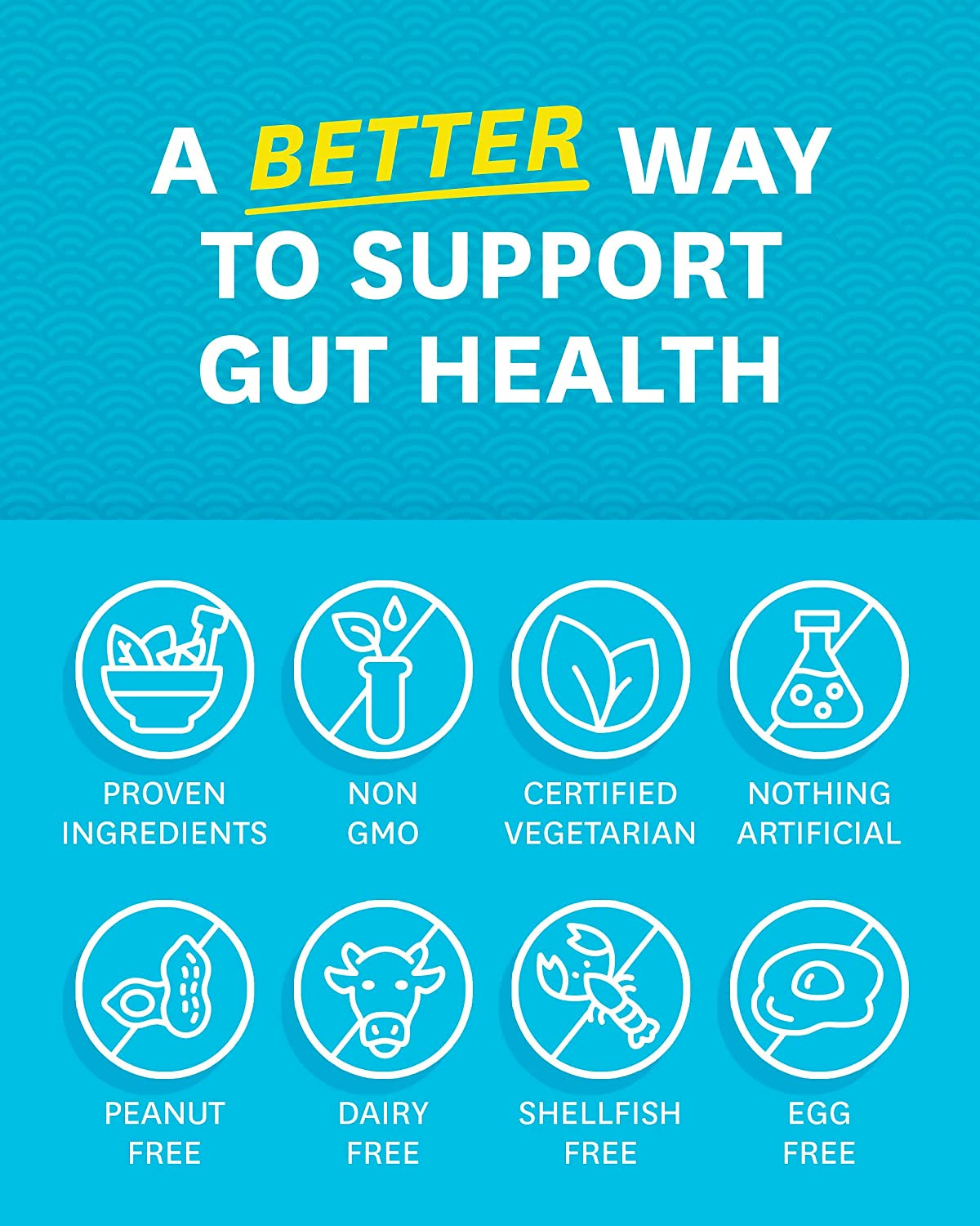 Zenwise Digestive Enzymes – Probiotic Multi Enzyme with Probiotics and Prebiotic