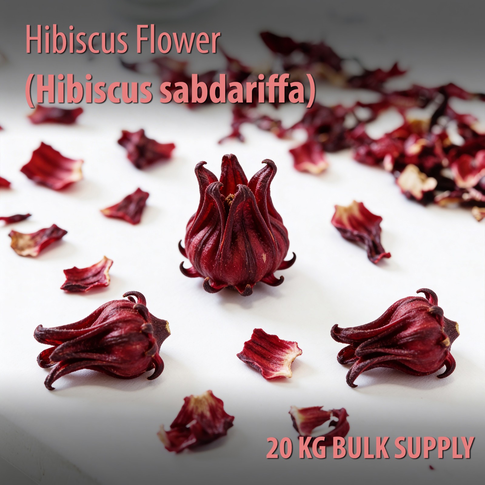 Hibiscus Flower 20KG Bulk Cut & Sifted Wholesale Commercial Supply