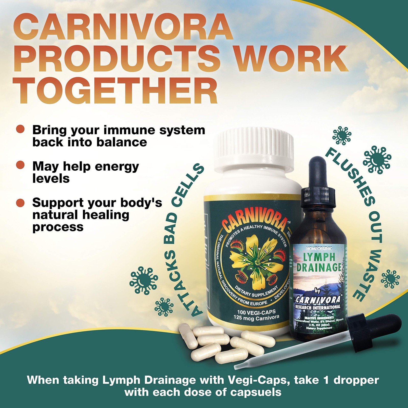 Vegan Immune Support Capsules – Gluten Free, Strengthen Your Defense (100 Count)