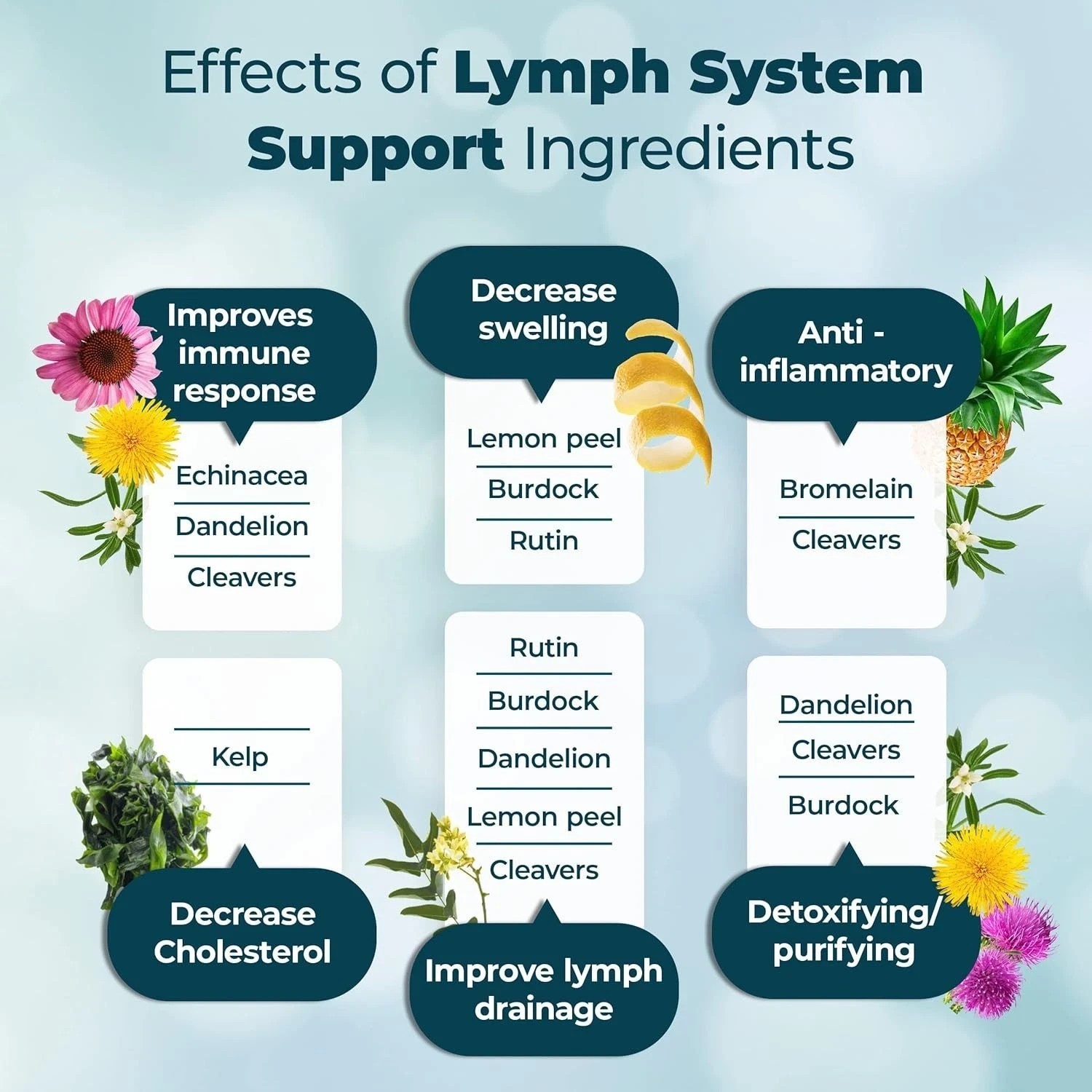 1-3 Pack PureHealth Research Lymph System Support Supplement,Lymphatic Drainage