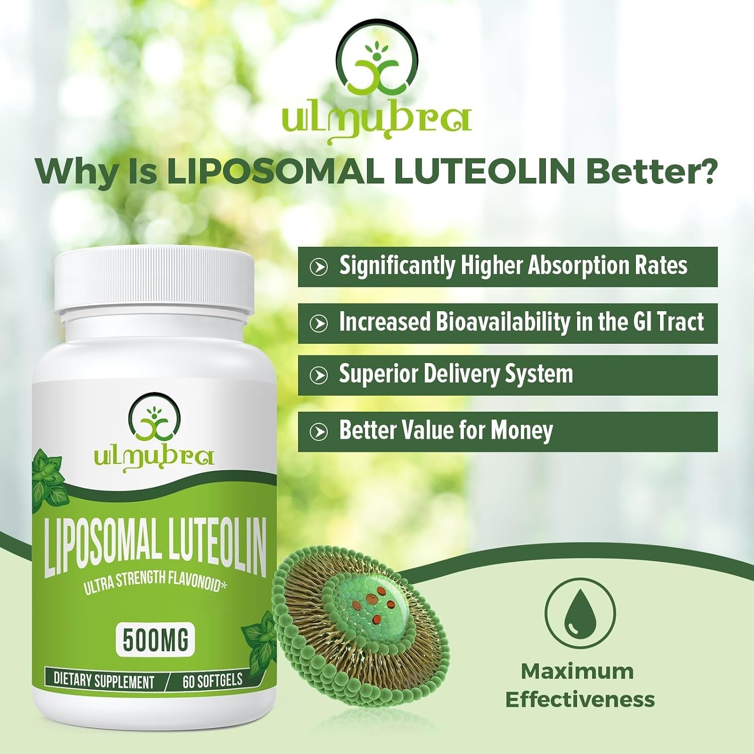 Potent 500MG Liposomal Luteolin Softgels – Non-GMO, 60 Count for Optimal Health