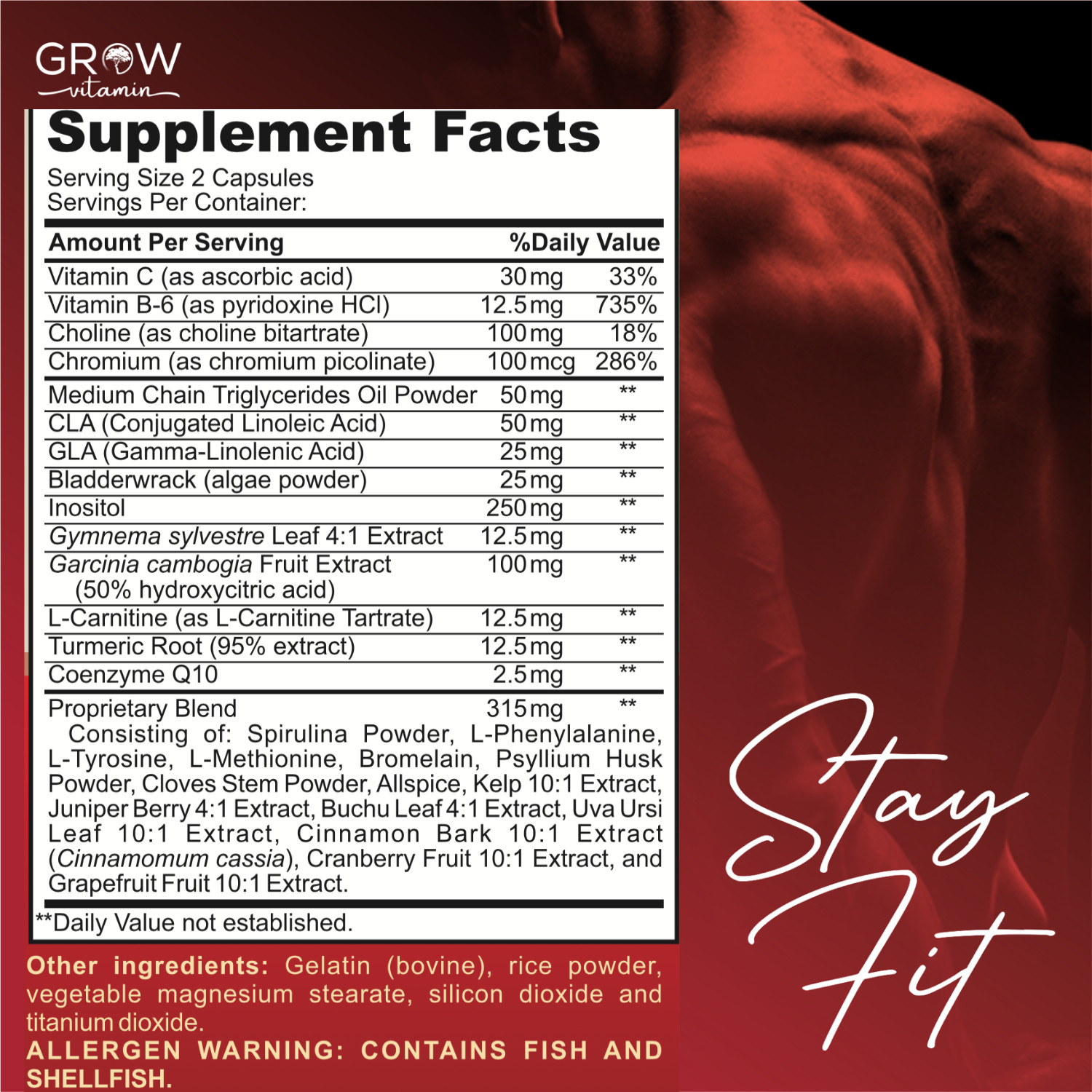 CLA Belly Fat Burner Weight Loss Pills Supplements Stomach Fat for Men & Women