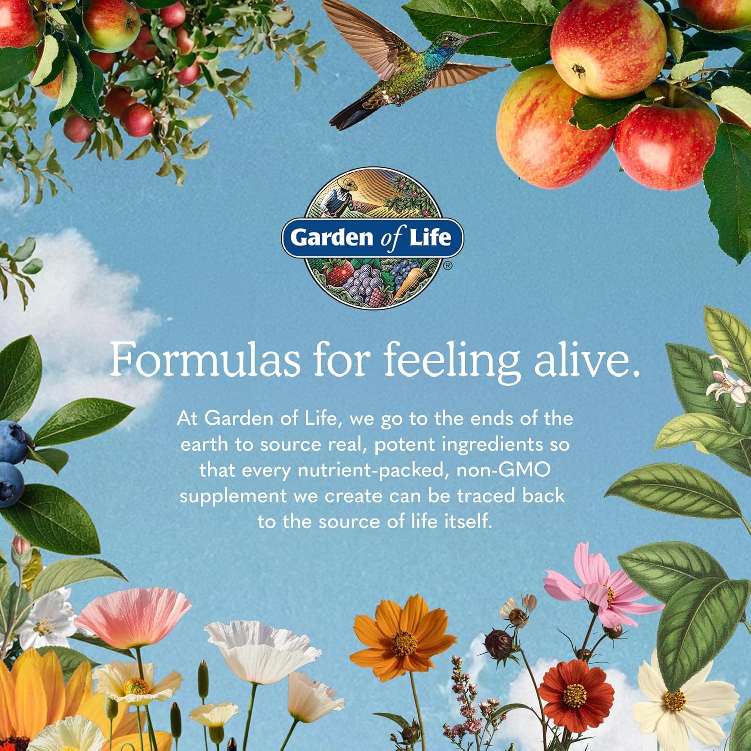 Garden of Life Dr. Formulated Advanced Omega Fish Oil – Lemon, 1,290mg EPA, DHA