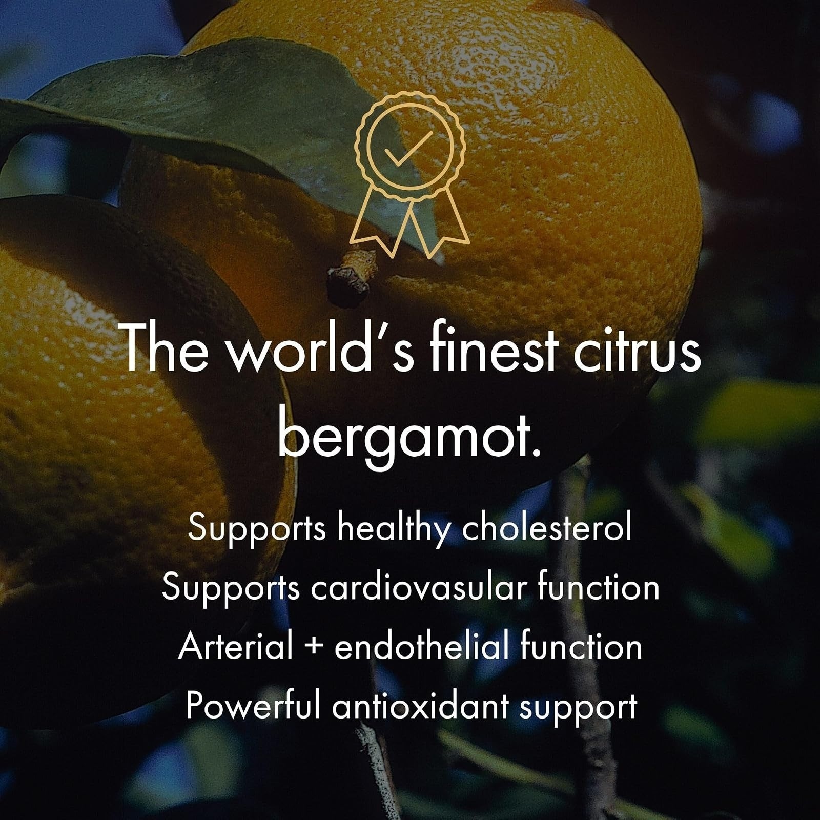 Italian Citrus Bergamot 500mg – Supports Healthy Cholesterol & Triglyceride Leve