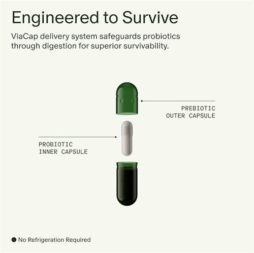 Seed DS-01 Daily Synbiotic – Immune Support, Bloating & Constipation Relief30day