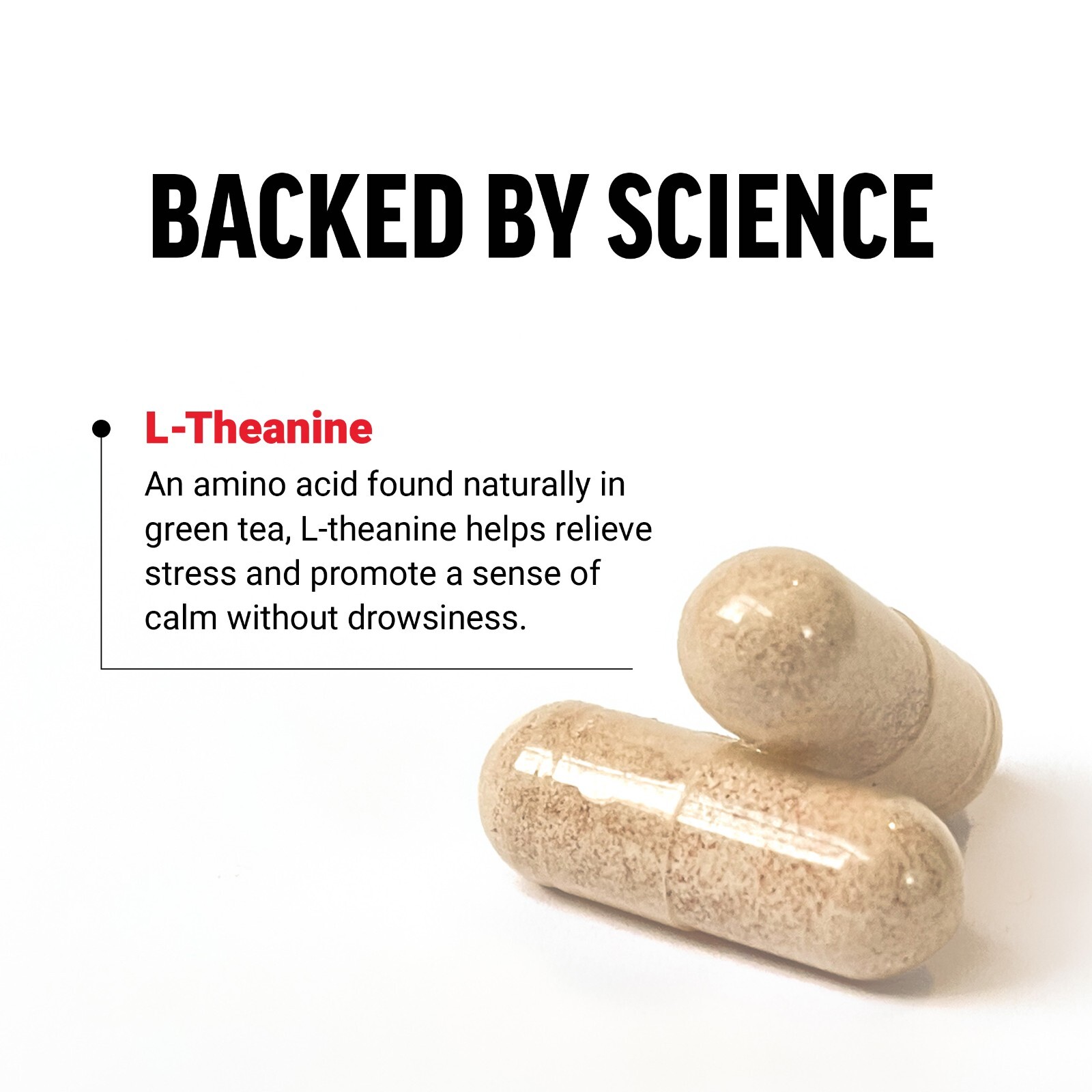 Force Factor L Theanine 200mg, Vegan, Non-GMO, L-Theanine Supplement, 60 Capsule