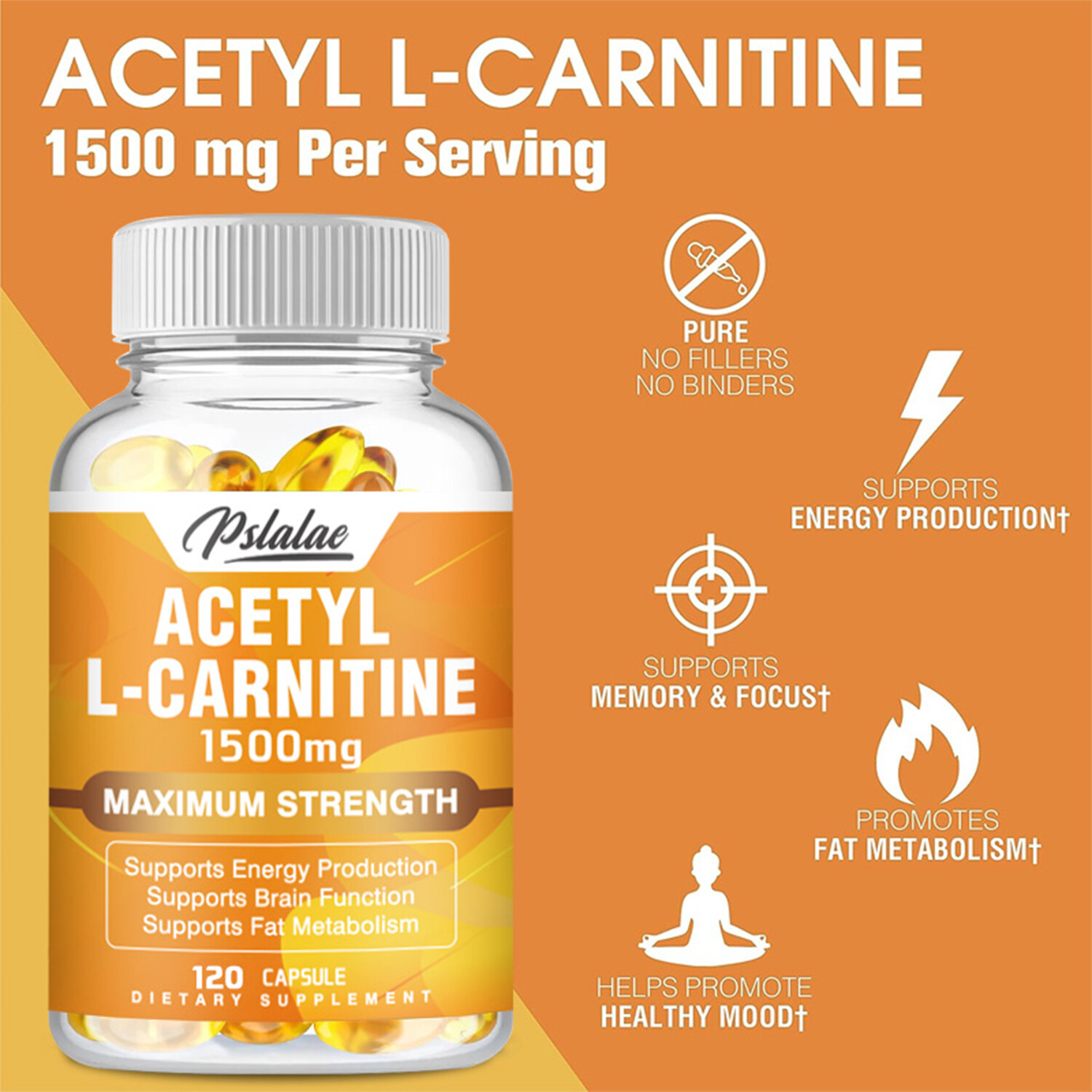 Acetyl-L-Carnitine 1500mg – Weight Loss, Brain & Nervous System Health