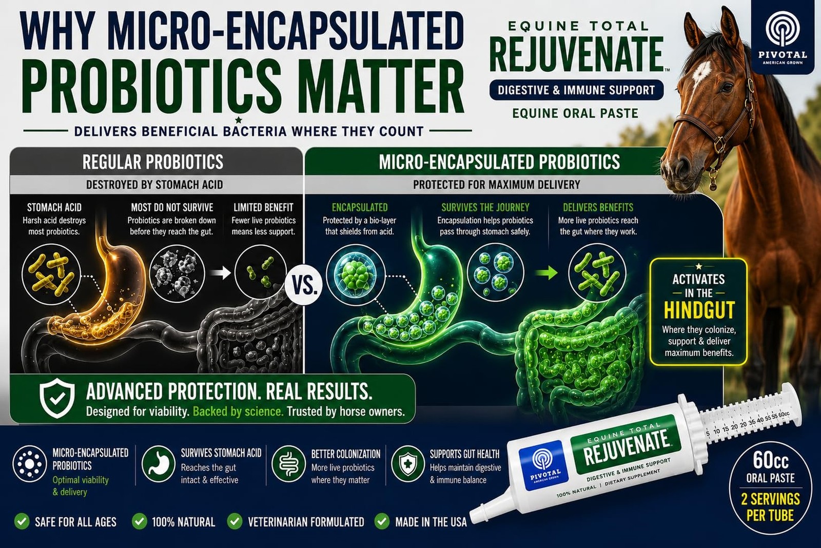 Equine Total Rejuvenate Horse Gut Health Supplement – Probiotics & Digesti