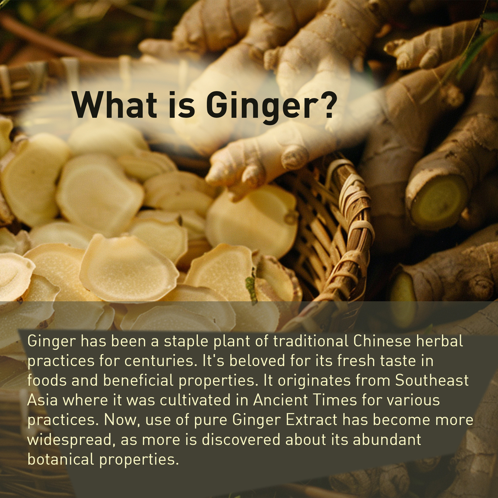 Ginger Root 4000mg – Highest Potency, Digestion, Nausea, Immune System Boost
