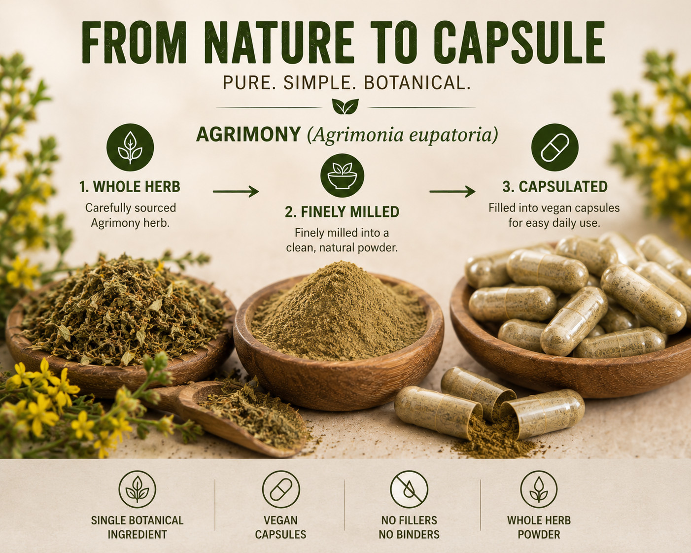 Agrimony Herb Capsules 500mg | 60 CT Vegan Allergen-Free Natural Detox & Liver