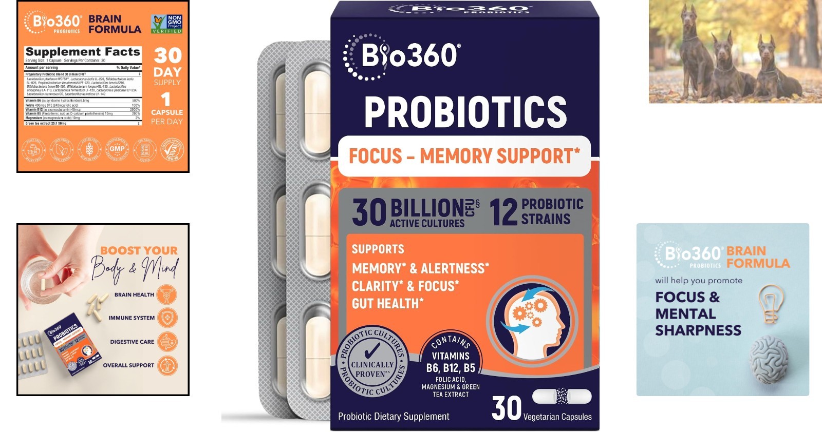 Cognitive Support Capsules – 30 Count for Memory & Digestion Health