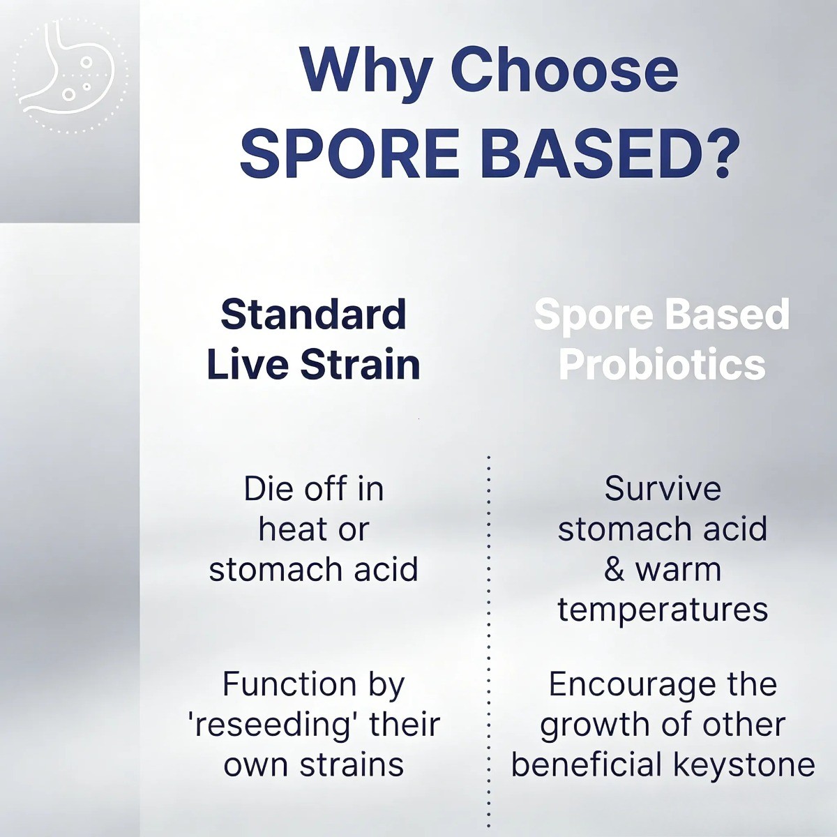 Mega Spore Biotic 60 Caps – Spore Probiotic for Gut Health, for Men & Women