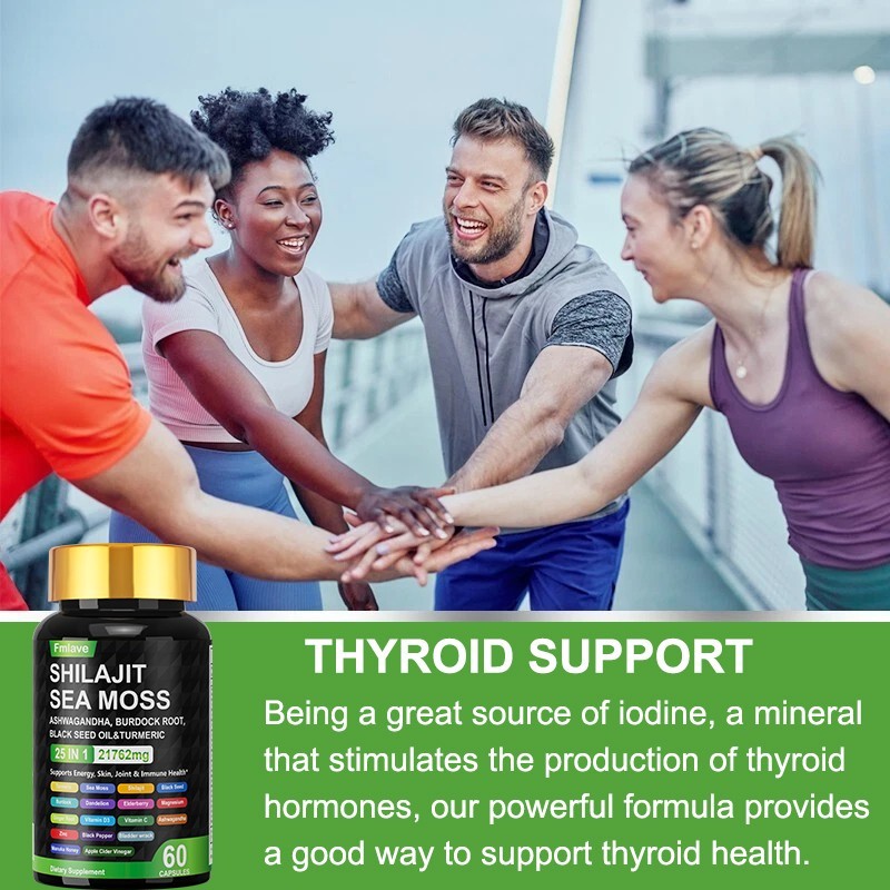 Sea Moss, Black Seed Oil, Ashwagandha, Turmeric Ginger Shilajit Burdock 60 caps