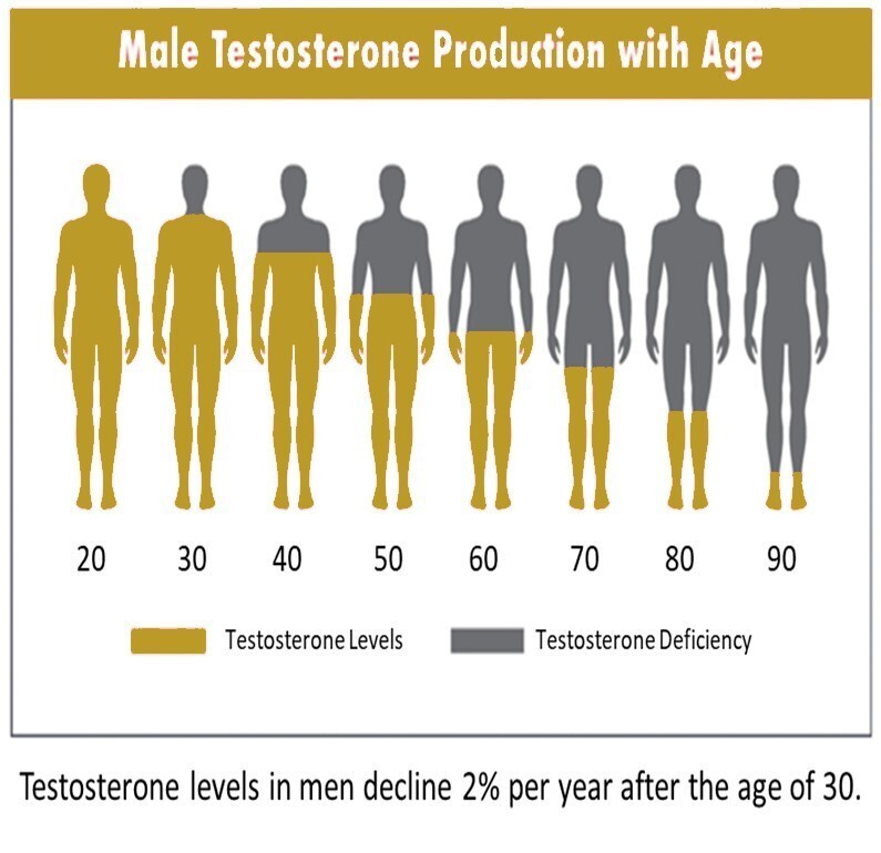 High T Senior+ Testosterone Booster Supplement, 90 Capsules
