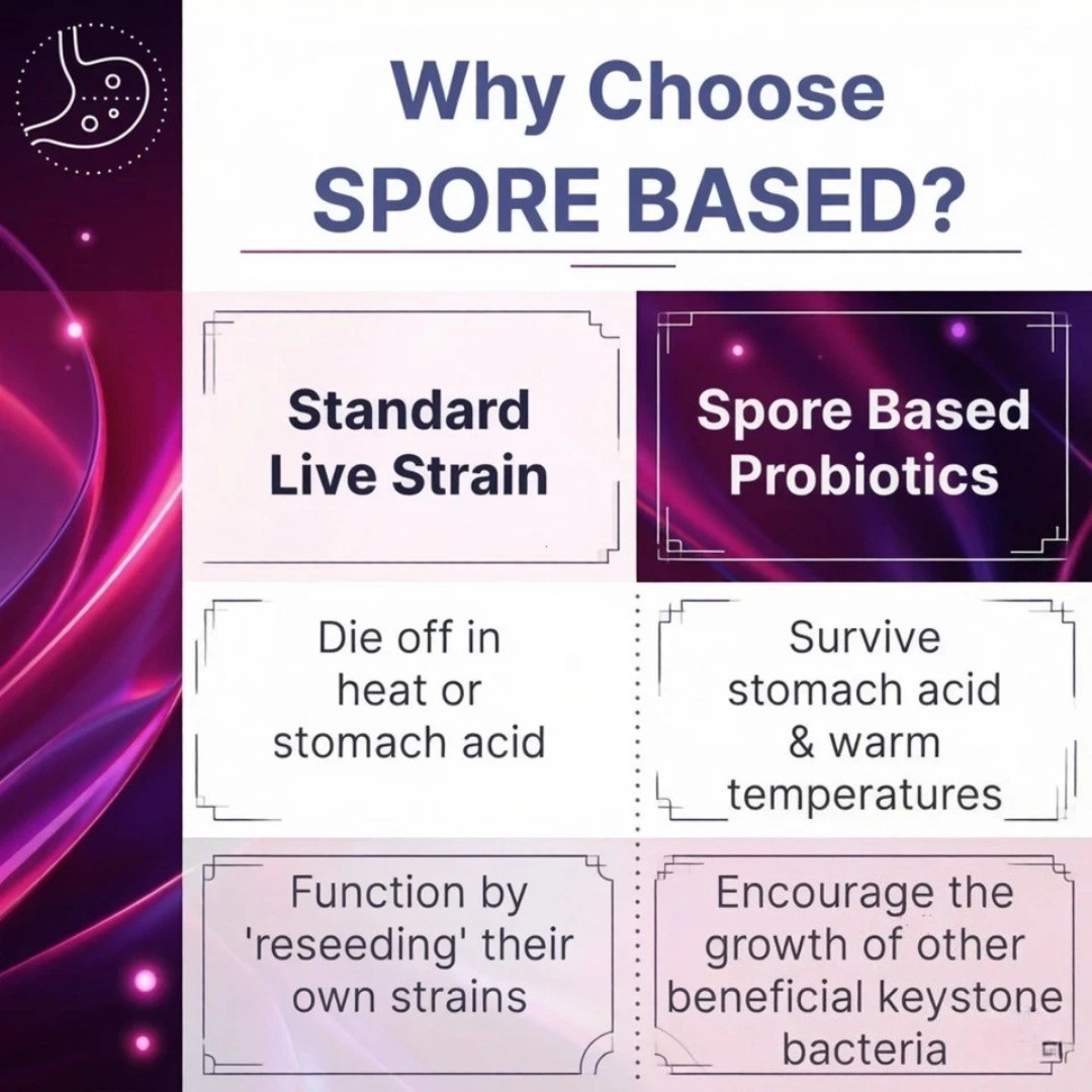 3PACKS Mega Sporebiotic 60 Capsules Microbiome Labs, probiotic supplement
