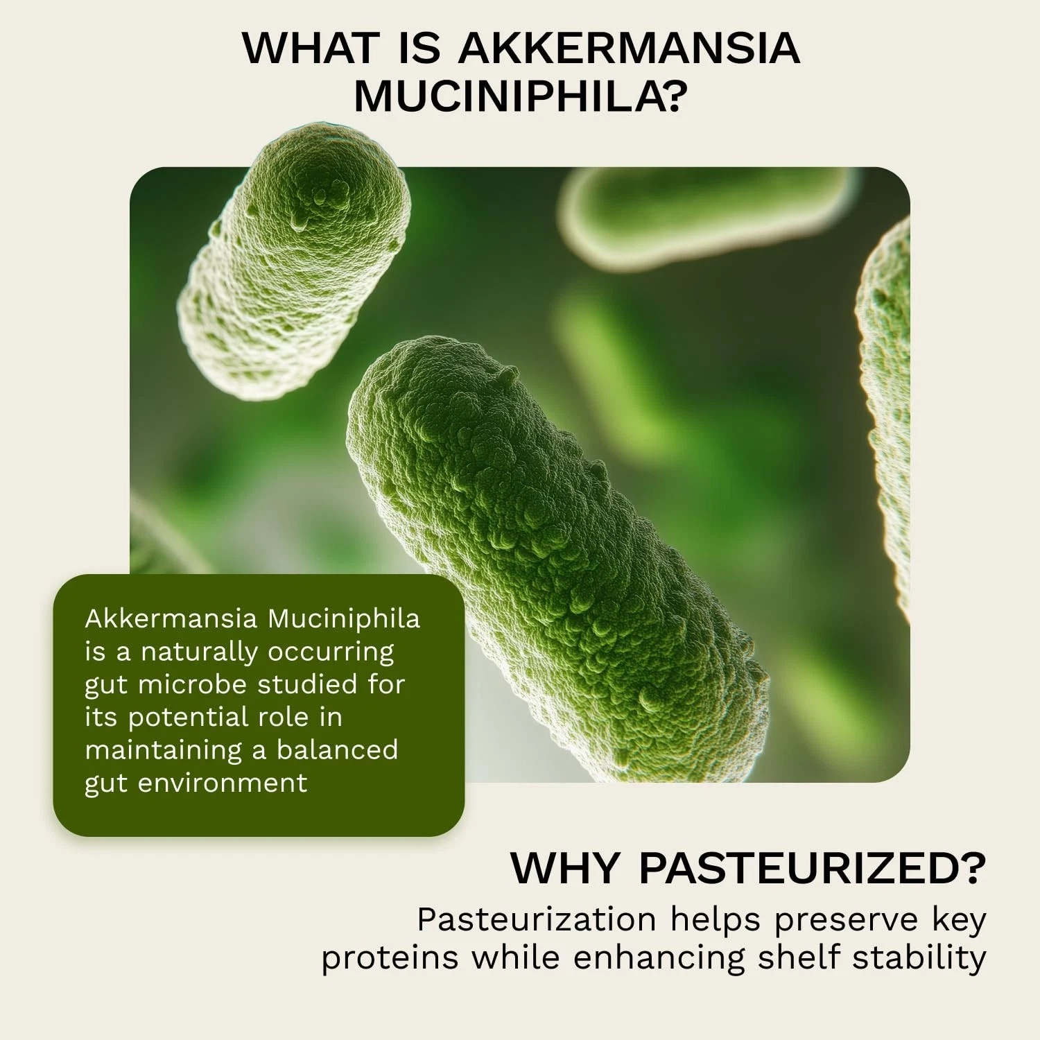 XpandAge Akkermansia Probiotic 90 Veg Caps Gut Health Berberine Cinnamon