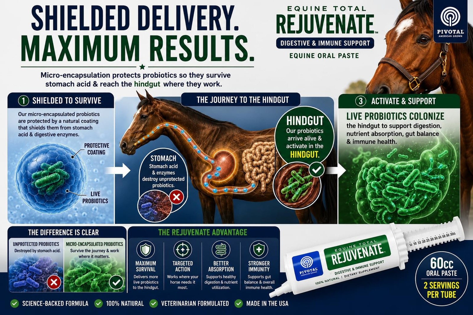 Equine Total Rejuvenate Horse Gut Health Supplement – Probiotics & Digesti
