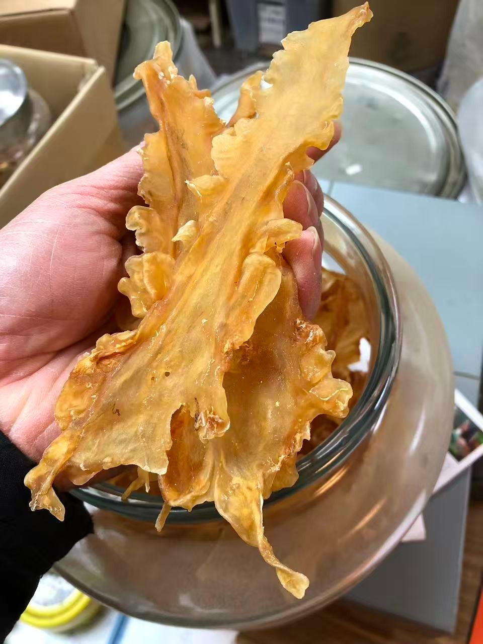 1磅装挪威鳕鱼胶 1LB/Bag Size M Dried Norwegian Cod Maw wild caught fish maw-U.S Seller