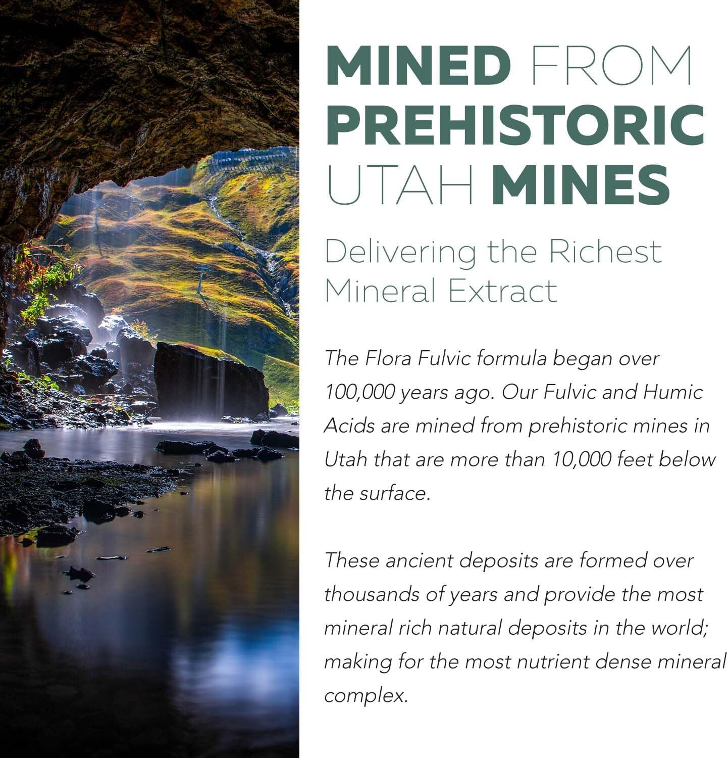Flora Fulvic | Fulvic Acid + Humic Acid Complex – 550 Mg |Mined in Utah, Prehist