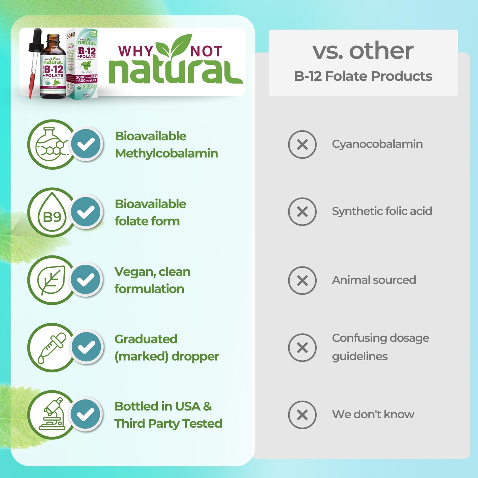 Why Not Natural Vitamin B12 Liquid Plus Folate – 2 Fl Oz (Pack of 1), Red