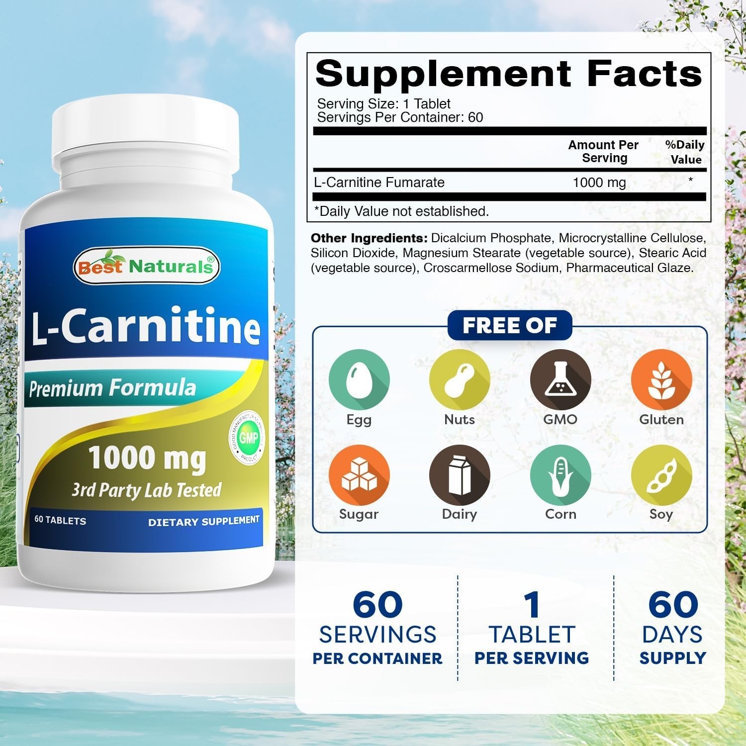 60 Count L-Carnitine 1000mg – GMO-Free, Lactose-Free Energy Management Tablets