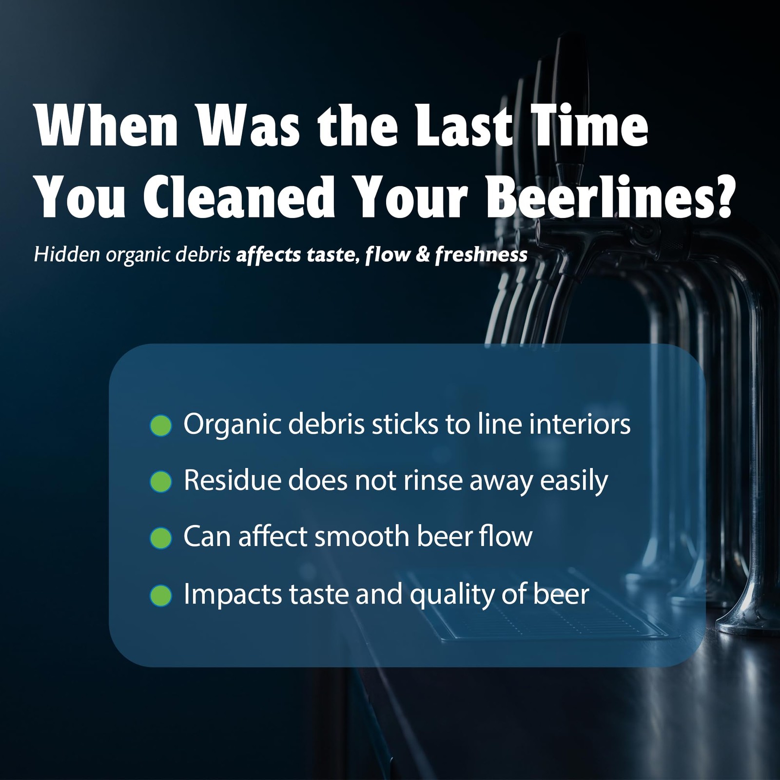 Aerisguard Multi-Enzyme Beer Line Cleaner Non-Corrosive Enzymatic Kegerator